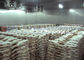 1000 Ton R507 R404a Et Balık Tavukları İçin Büyük Dondurucu Soğuk Oda