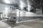 Balık Fillesi IQF Sürekli Bireysel Hızlı Dondurma Makinesi Gıda Hızlı Tünel Ekipmanı