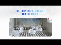 Avrupa 30 Ton Katı Düz ​​Kesim Uçlu Tüp Buz Makinesi Kasası