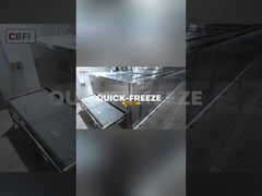 2 ton/saat Tünel Hızlı Dondurucu Depo Kutusu