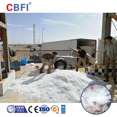 1.0mm-2.5mm Buz Kalınlığı Yiyecek İşleme için Yumurtalı Buz Makinesi